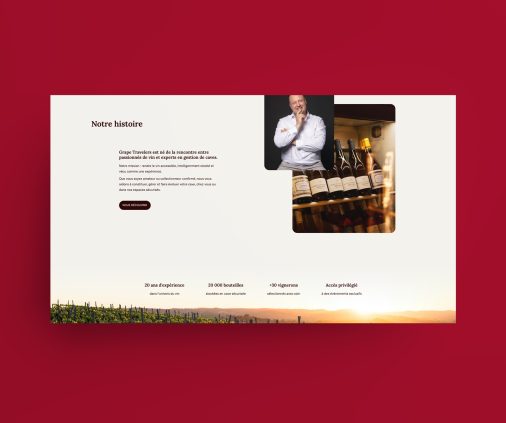 846886252-site-web_2