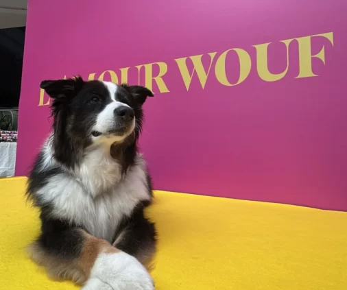 Sélection de posts réseaux sociaux conçus par l'agence Wait: pour la campagne de communication du Cloche d'Or Shopping Center