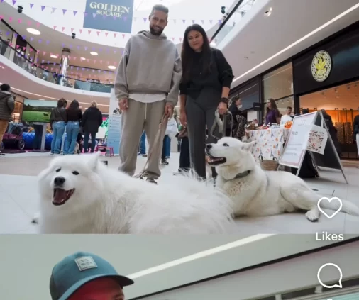Sélection de posts réseaux sociaux conçus par l'agence Wait: pour la campagne de communication du Cloche d'Or Shopping Center