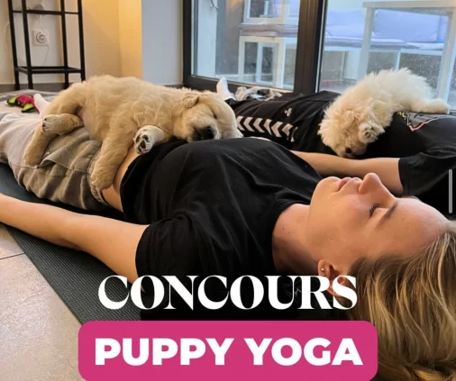 Sélection de posts réseaux sociaux conçus par l'agence Wait: pour la campagne de communication du Cloche d'Or Shopping Center